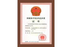 國家科學(xué)技術(shù)進步獎